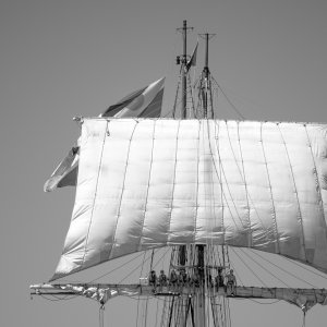 Baptiste-The Tall Ship Race - les vieux grééments-03 août 2018-0062